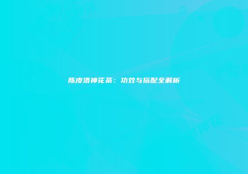 陈皮洛神花茶：功效与搭配全解析