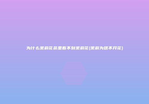 为什么茉莉花茶里看不到茉莉花(茉莉为啥不开花)