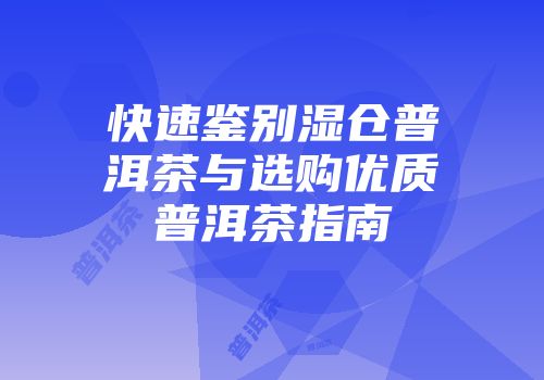 快速鉴别湿仓普洱茶与选购优质普洱茶指南