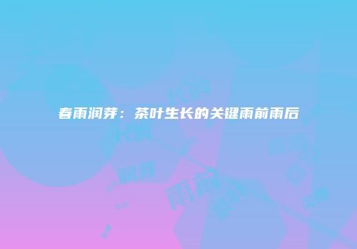 春雨润芽：茶叶生长的关键雨前雨后