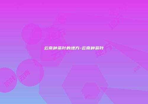 云南种茶叶的地方-云南种茶叶