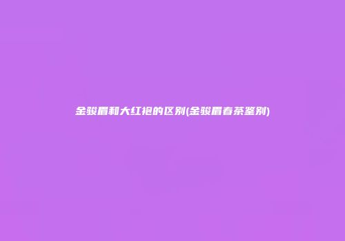 金骏眉和大红袍的区别(金骏眉春茶鉴别)