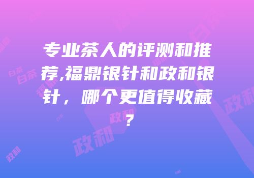 专业茶人的评测和推荐,福鼎银针和政和银针，哪个更值得收藏？