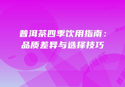 普洱茶四季饮用指南：品质差异与选择技巧