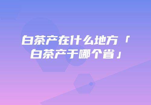 白茶产在什么地方「白茶产于哪个省」