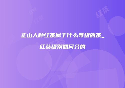 正山人种红茶属于什么等级的茶_红茶级别如何分的