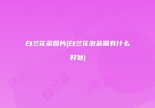 白兰花茶图片(白兰花泡茶喝有什么好处)