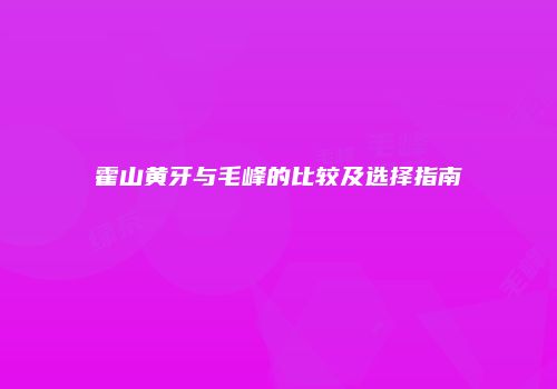 霍山黄牙与毛峰的比较及选择指南