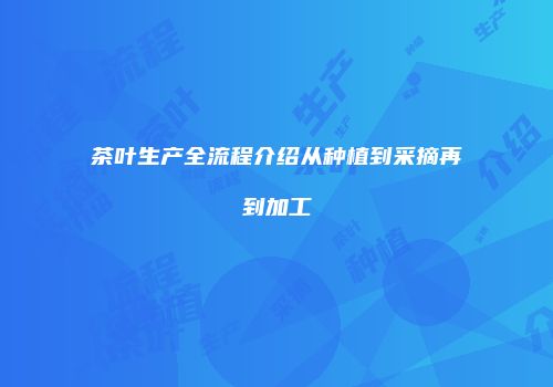 茶叶生产全流程介绍从种植到采摘再到加工