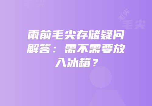 雨前毛尖存储疑问解答：需不需要放入冰箱？