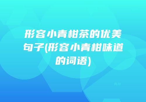 形容小青柑茶的优美句子(形容小青柑味道的词语)