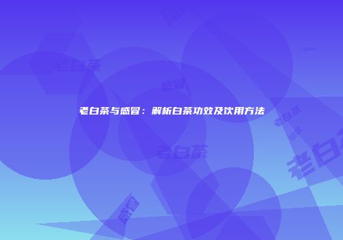 老白茶与感冒：解析白茶功效及饮用方法