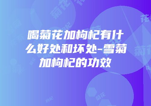 喝菊花加枸杞有什么好处和坏处-雪菊加枸杞的功效