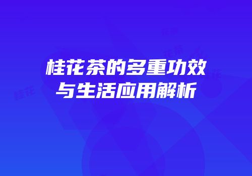 桂花茶的多重功效与生活应用解析