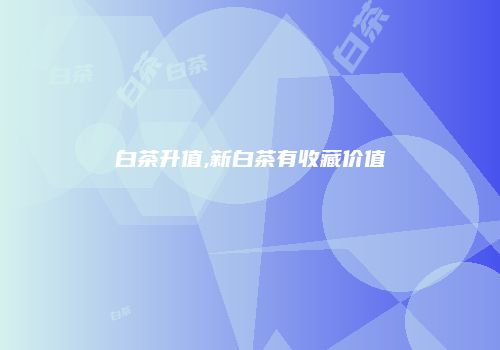 白茶升值,新白茶有收藏价值