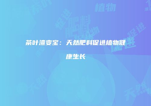茶叶渣变宝：天然肥料促进植物健康生长