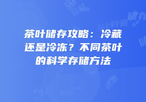 茶叶储存攻略：冷藏还是冷冻？不同茶叶的科学存储方法
