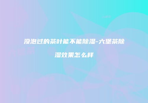 没泡过的茶叶能不能除湿-六堡茶除湿效果怎么样