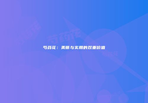 芍药花：美丽与实用的双重价值