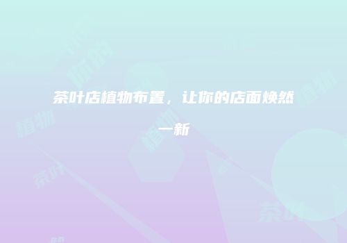 茶叶店植物布置，让你的店面焕然一新