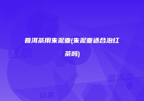 普洱茶用朱泥壶(朱泥壶适合泡红茶吗)