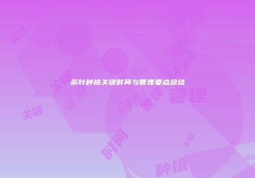 茶叶种植关键时间与管理要点总结