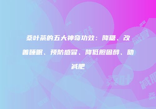 桑叶茶的五大神奇功效：降糖、改善睡眠、预防感冒、降低胆固醇、助减肥