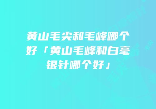 黄山毛尖和毛峰哪个好「黄山毛峰和白毫银针哪个好」