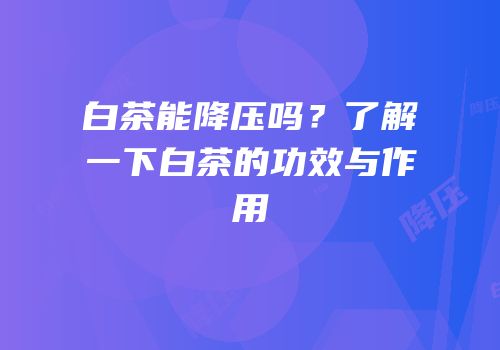 白茶能降压吗？了解一下白茶的功效与作用