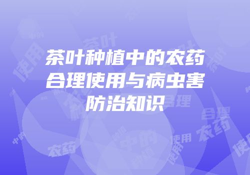 茶叶种植中的农药合理使用与病虫害防治知识