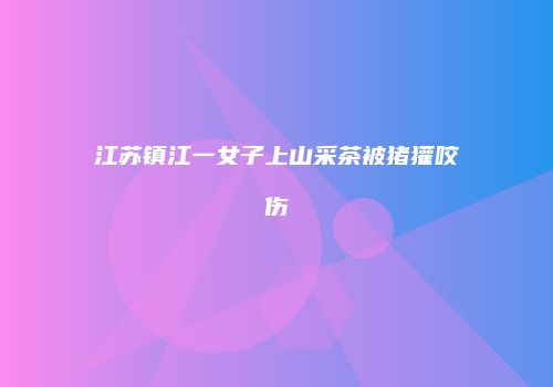 江苏镇江一女子上山采茶被猪獾咬伤