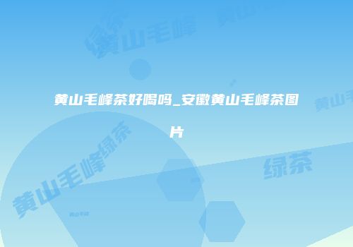 黄山毛峰茶好喝吗_安徽黄山毛峰茶图片