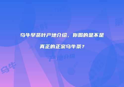 乌牛早茶叶产地介绍，你喝的是不是真正的正宗乌牛茶？