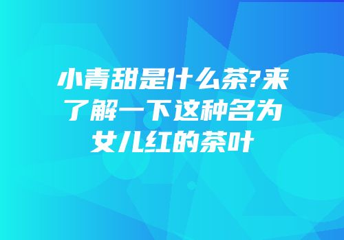 小青甜是什么茶?来了解一下这种名为女儿红的茶叶