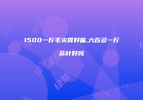 1500一斤毛尖算好嘛,六百多一斤茶叶好吗