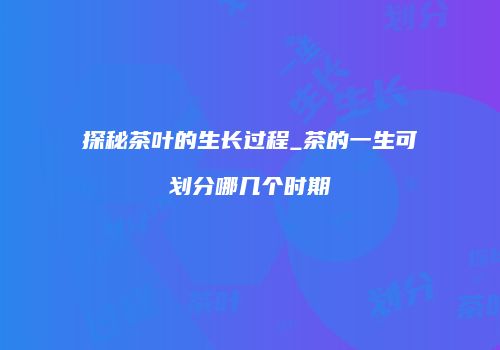 探秘茶叶的生长过程_茶的一生可划分哪几个时期