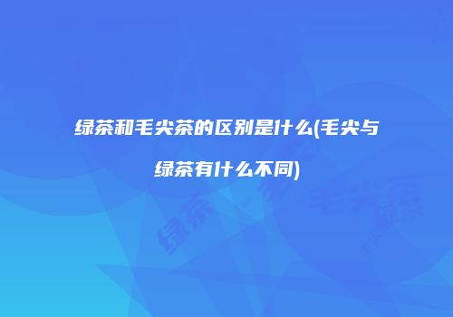 绿茶和毛尖茶的区别是什么(毛尖与绿茶有什么不同)
