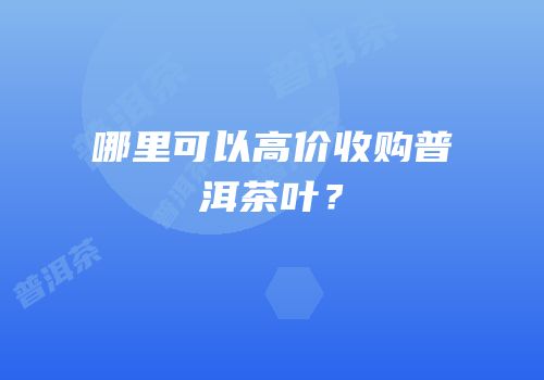 哪里可以高价收购普洱茶叶？