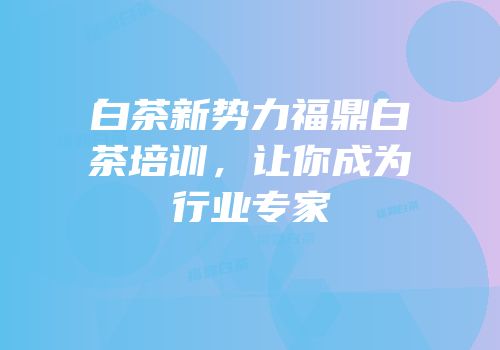 白茶新势力福鼎白茶培训，让你成为行业专家