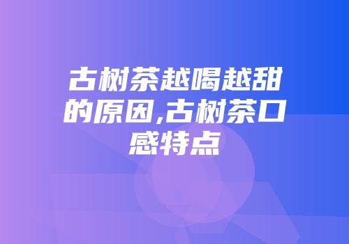古树茶越喝越甜的原因,古树茶口感特点