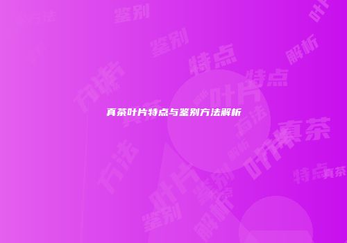 真茶叶片特点与鉴别方法解析