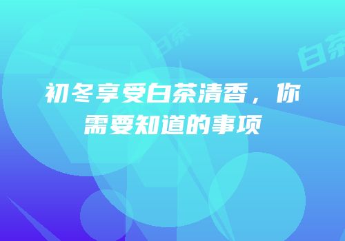 初冬享受白茶清香，你需要知道的事项