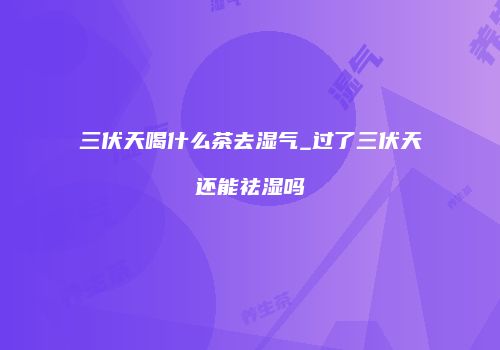 三伏天喝什么茶去湿气_过了三伏天还能祛湿吗