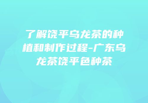 了解饶平乌龙茶的种植和制作过程-广东乌龙茶饶平色种茶