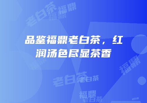 品鉴福鼎老白茶，红润汤色尽显茶香
