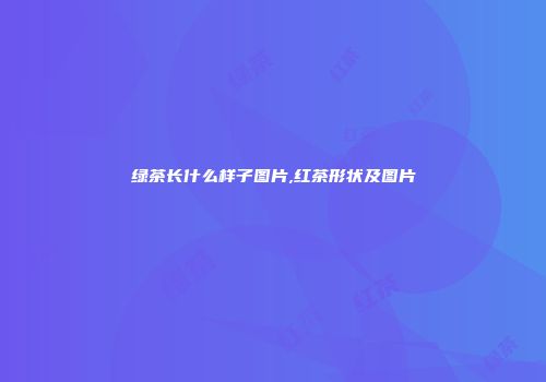 绿茶长什么样子图片,红茶形状及图片