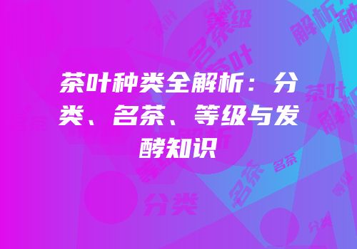茶叶种类全解析：分类、名茶、等级与发酵知识