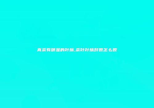 真茶有明显的叶脉,茶叶叶脉对数怎么数