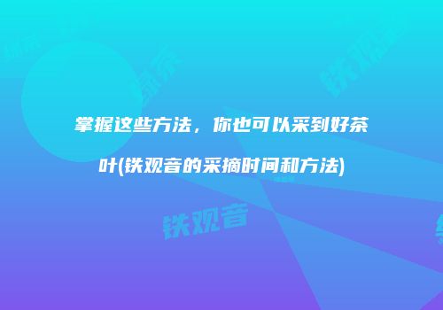 掌握这些方法，你也可以采到好茶叶(铁观音的采摘时间和方法)