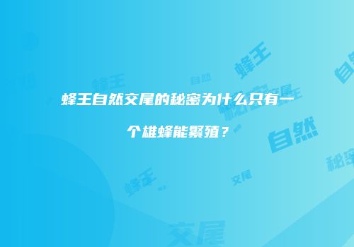 蜂王自然交尾的秘密为什么只有一个雄蜂能繁殖？